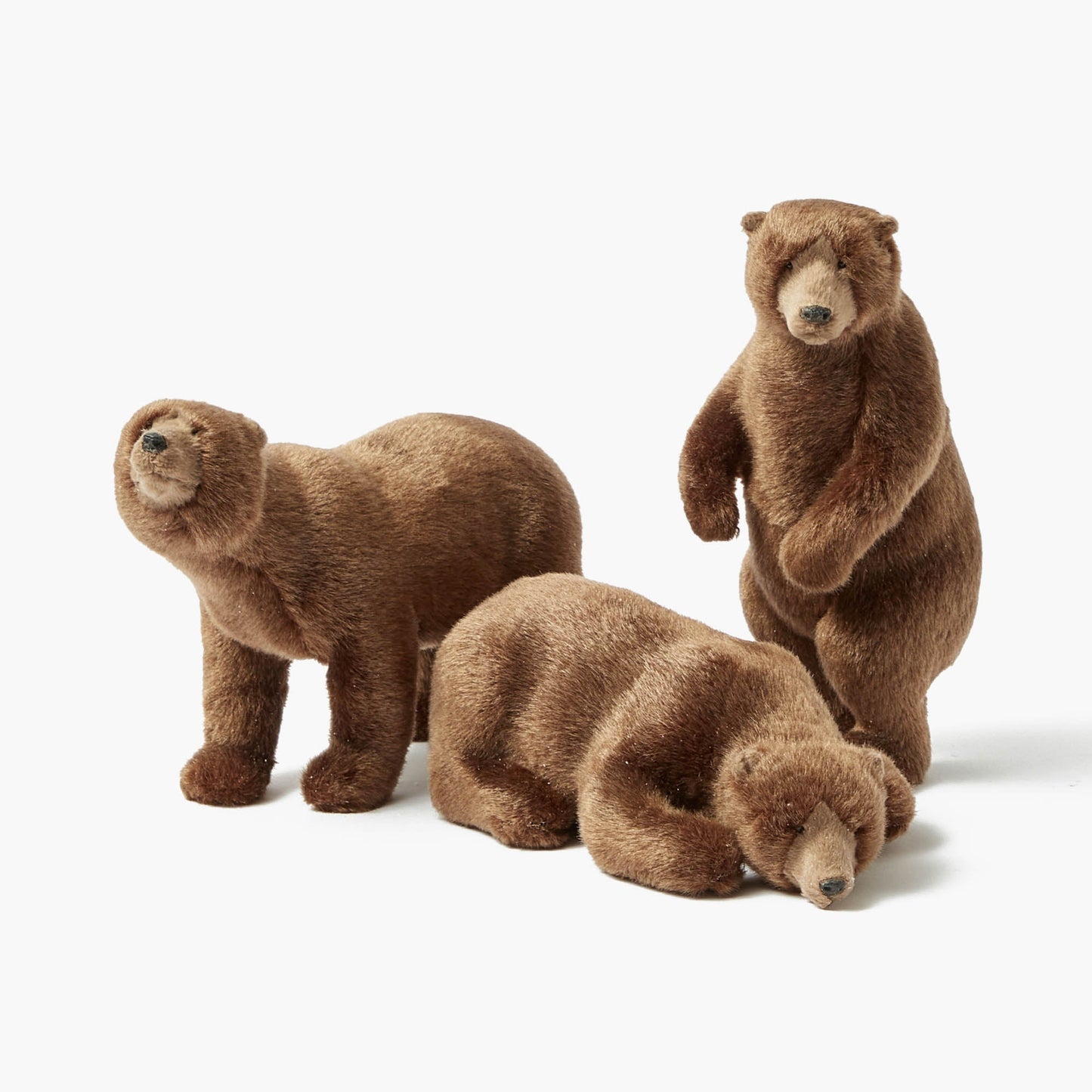 Grands ours bruns alpins (ensemble de 3)