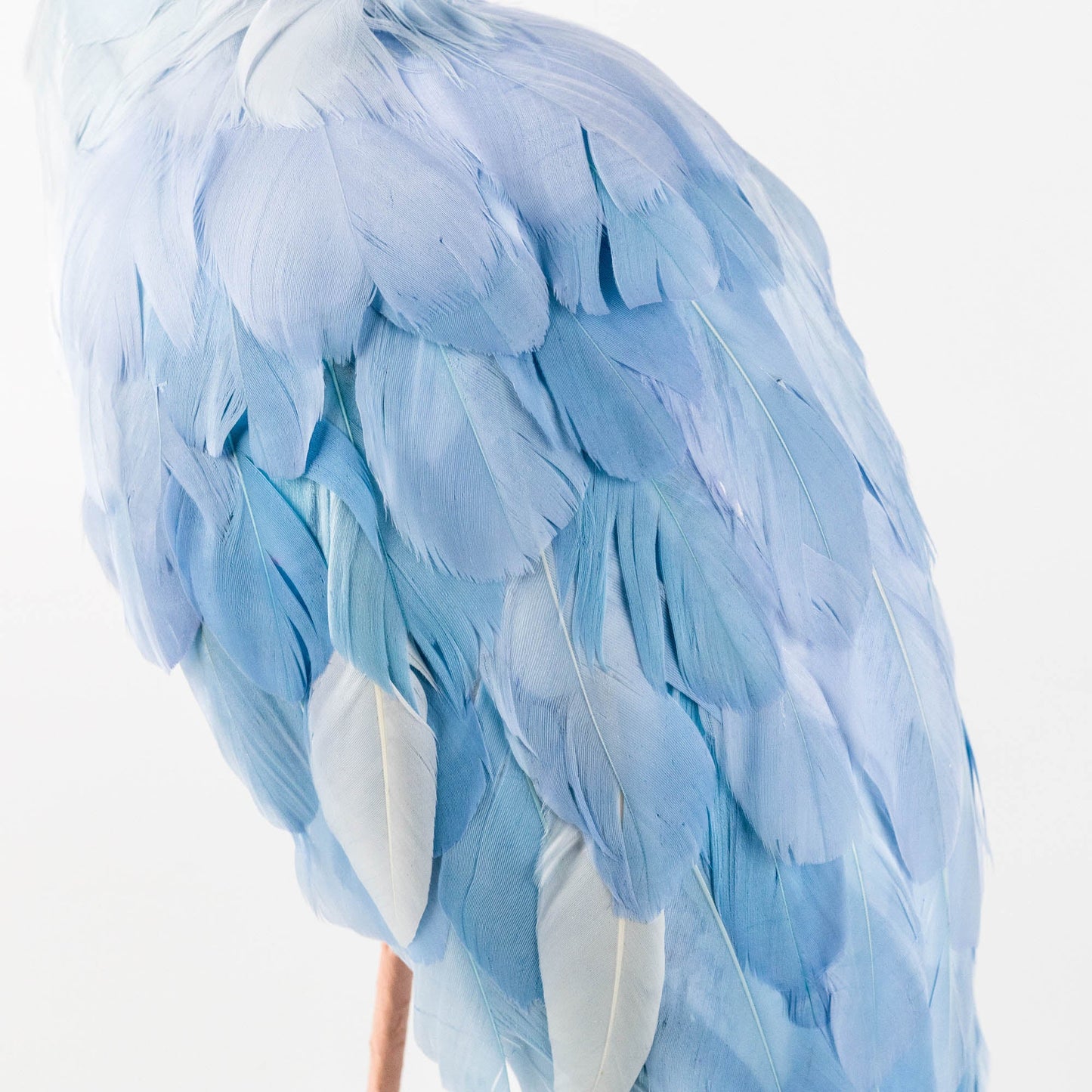 Cigogne Saskia bleue (couple) - 44 cm