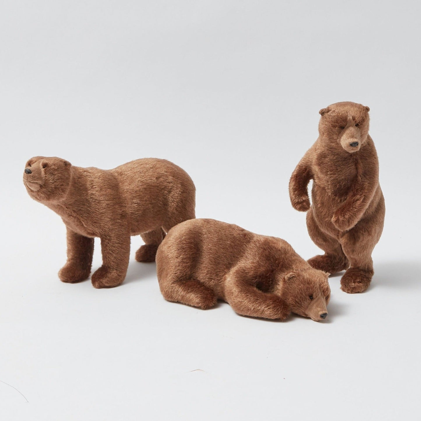 Grands ours bruns alpins (ensemble de 3)