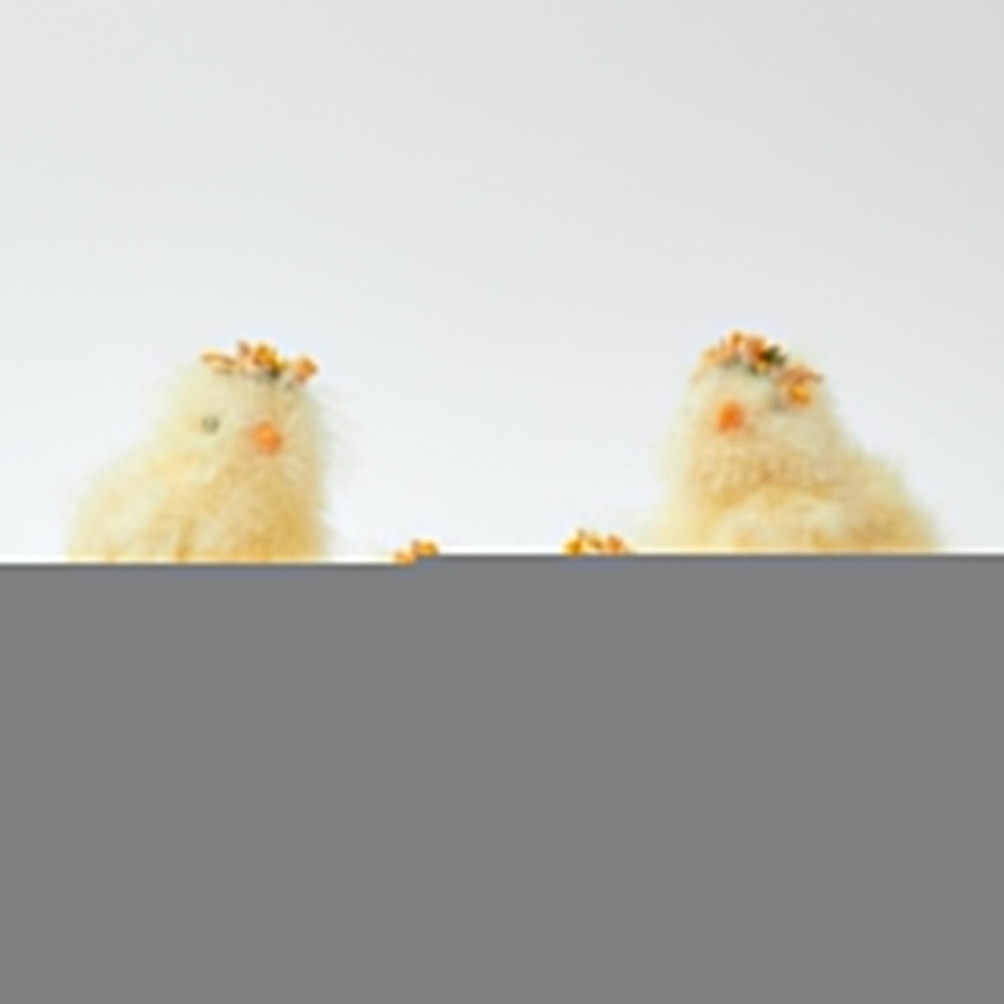 Grands poussins duveteux (paire)