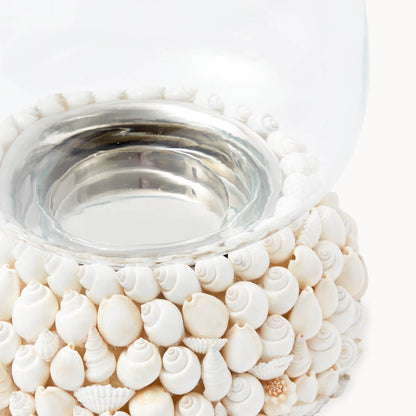 Lanterne anti-ouragan Sophia Shell