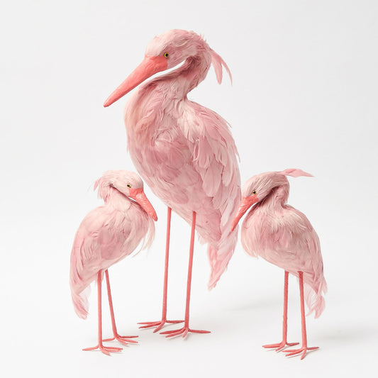 Famille de cigognes Saskia