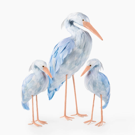Famille de cigognes Saskia bleues