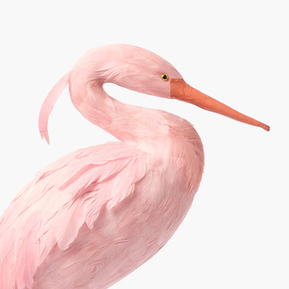 Cigogne rose Saskia (couple) - 60 cm